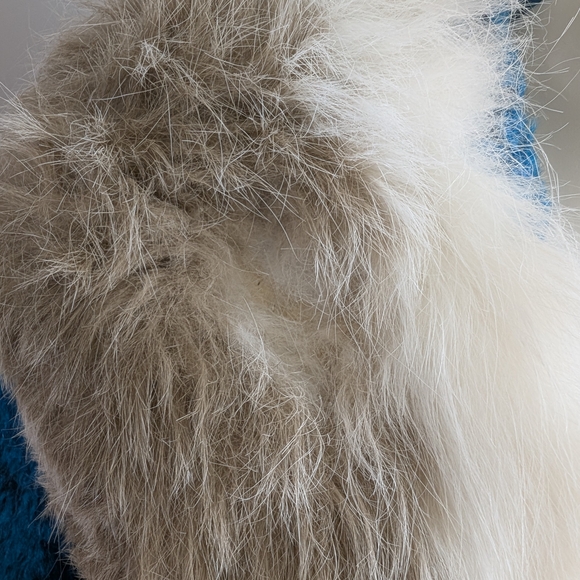 Vintage 1960s Mohair Coat with Real Fur Collar, Union Made, William Frohman - Picture 14 of 16